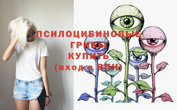 винт Алзамай