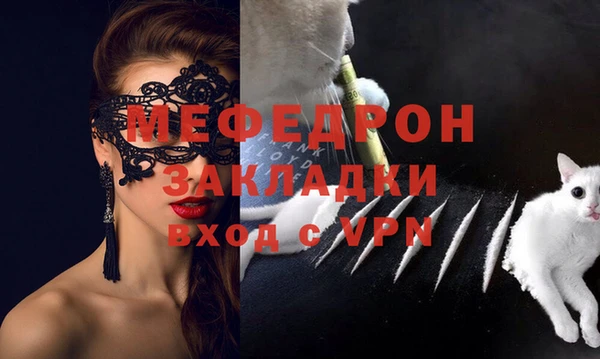 мет Алексин