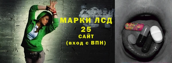 винт Алзамай