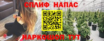 молекула духа Ставрополь