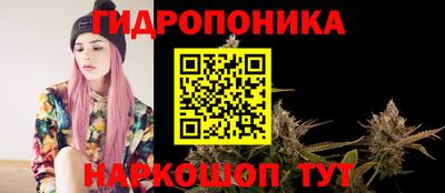 молекула духа Ставрополь