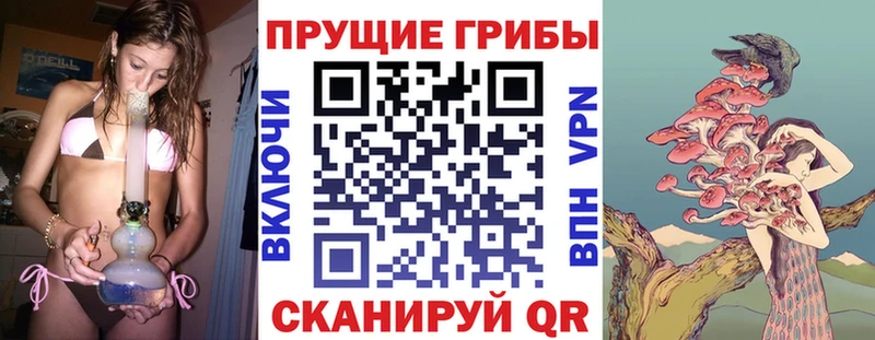 Галлюциногенные грибы Magic Shrooms  Сибай 