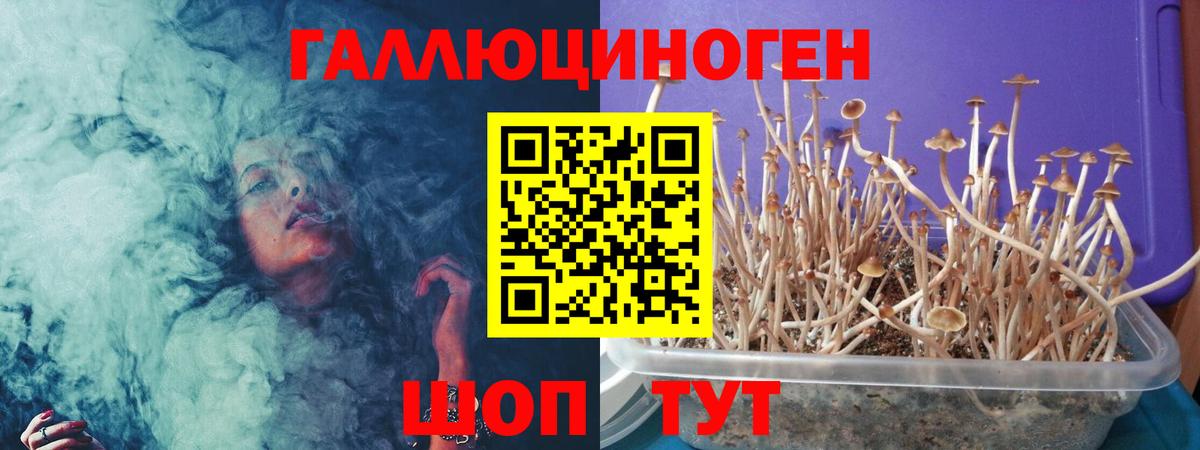 Псилоцибиновые грибы мухоморы Сибай