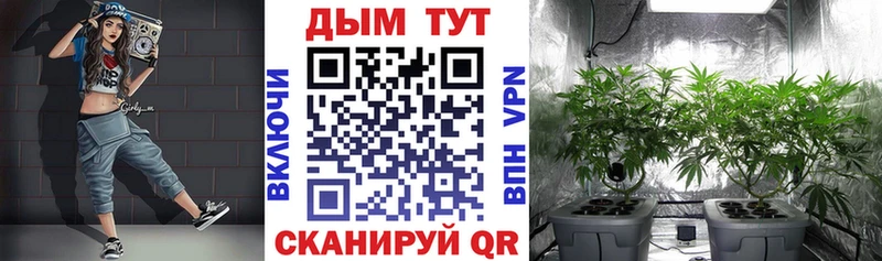 купить закладку  Сибай  Каннабис план 